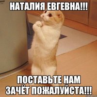 Наталия Евгевна!!! Поставьте нам зачёт пожалуйста!!!