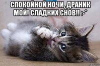 спокойной ночи, драник мой! Сладких снов!! :-* 