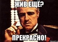 жив ещё? прекрасно!