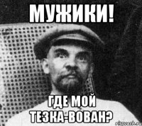 МУЖИКИ! ГДЕ МОЙ ТЕЗКА-ВОВАН?