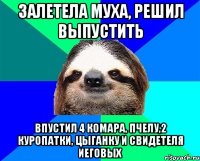 ЗАЛЕТЕЛА МУХА, РЕШИЛ ВЫПУСТИТЬ ВПУСТИЛ 4 КОМАРА, ПЧЕЛУ,2 КУРОПАТКИ, ЦЫГАНКУ И СВИДЕТЕЛЯ ИЕГОВЫХ