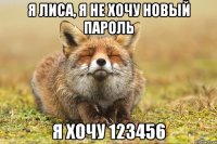 я лиса, я не хочу новый пароль я хочу 123456