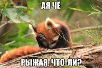 ая чё рыжая, что-ли?