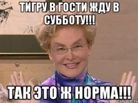 Тигру в гости жду в субботу!!! Так это ж НОРМА!!!