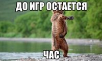 ДО ИГР ОСТАЕТСЯ ЧАС