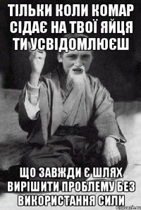 тільки коли комар сідає на твої яйця ти усвідомлюєш що завжди є шлях вирішити проблему без використання сили