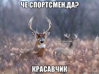 Че спортсмен,да? Красавчик