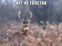 Нет, не толстая 