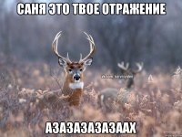 Саня это твое отражение АЗАЗАЗАЗАЗААХ