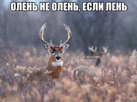 Олень не олень, если лень 