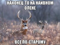 Наконец-то на Наивном олене все по-старому