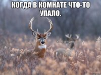 Когда в комнате что-то упало. 