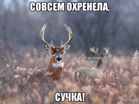 Совсем охренела, Сучка!