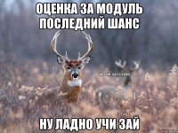 Оценка за модуль последний шанс Ну ладно учи зай