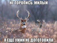 Не торопись, милый я еще ужин не доготовила