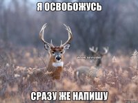 Я освобожусь сразу же напишу