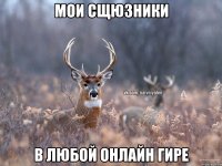 Мои сщюзники В любой онлайн гире