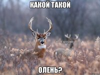 Какой такой Олень?