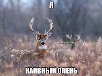 я наивный олень