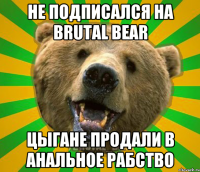 НЕ ПОДПИСАЛСЯ НА BRUTAL BEAR ЦЫГАНЕ ПРОДАЛИ В АНАЛЬНОЕ РАБСТВО