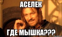 Аселек где Мышка???