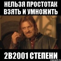 нельзя простотак взять и умножить 2в2001 степени