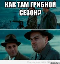 как там грибной сезон? 