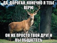 Да, дорогая, конечно я тебе верю Он же просто твой друг и вы общаетесь