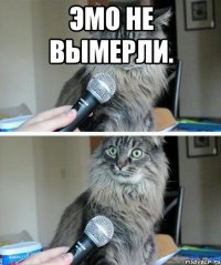 Эмо не вымерли. 