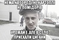 нема на городi не картоплi не помiдорiв урожай е ,але в село приехали цигани