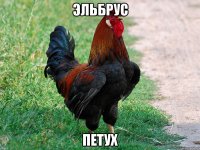 Эльбрус петух