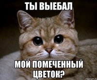 Ты выебал Мой помеченный цветок?