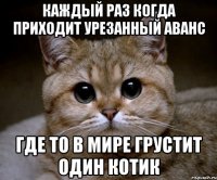 Каждый раз когда приходит урезанный аванс где то в мире грустит один котик