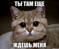 Ты там еще Ждешь меня