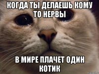 Когда ты делаешь кому то нервы В мире плачет один котик