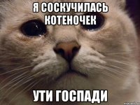 Я соскучилась котеночек Ути госпади