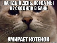 каждый день, когда мы не сходили в Банк умирает котенок