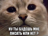  Ну ты будешь мне писать или нет ?