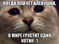 когда плачет Алёнушка, в мире грустит один котик :'(