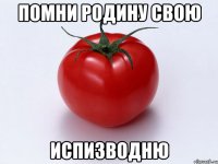 Помни родину свою Испизводню