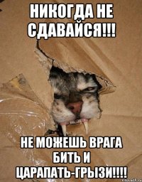 Никогда не сдавайся!!! Не можешь врага бить и царапать-грызи!!!!