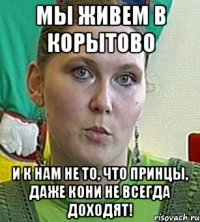 Мы живем в Корытово и к нам не то, что принцы, даже кони не всегда доходят!