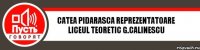 Catea PIDARASCA reprezentatoare Liceul Teoretic G.Calinescu