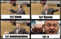 тут пони тут брони тут анимешники тут я