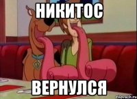 Никитос Вернулся