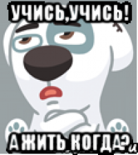 учись,учись! А жить когда?