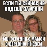 если ты сейчас не сядешь за уроки мы сегодня с мамой в деревню не едем