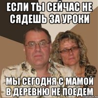 если ты сейчас не сядешь за уроки мы сегодня с мамой в деревню не поедем