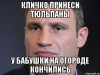 Кличко принеси тюльпаны У бабушки на огороде кончились