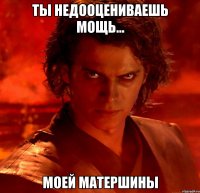 Ты недооцениваешь мощь... Моей матершины